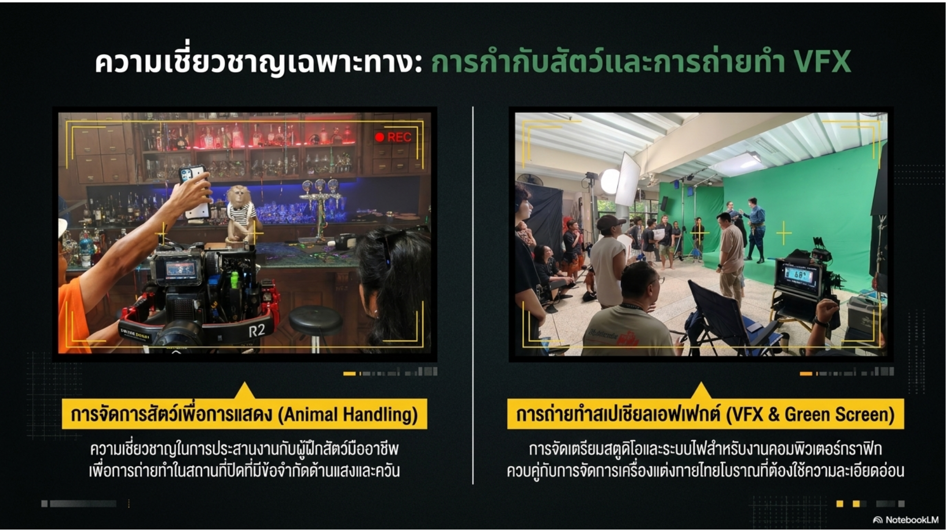 Animal handling and VFX slide