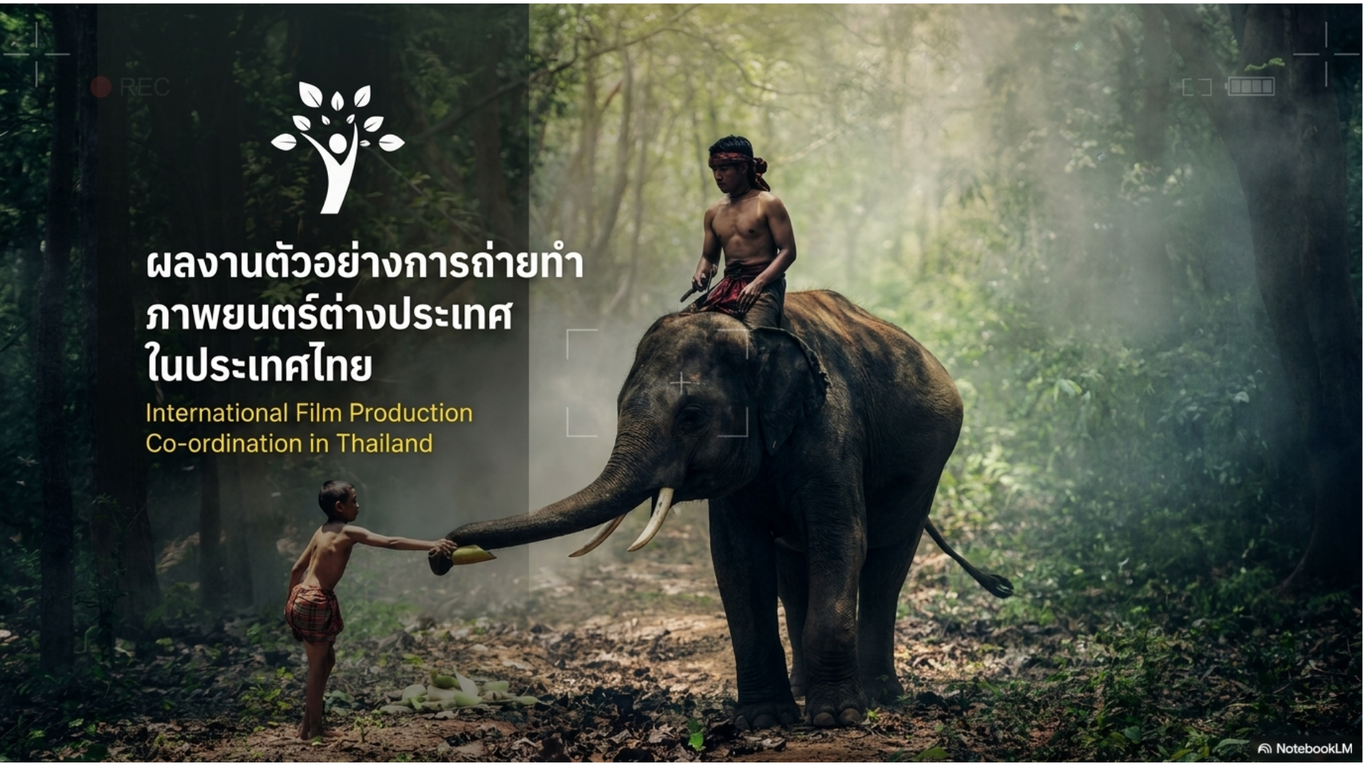 Original website banner